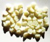 50 8mm Opaque Ivory Button Flower Beads